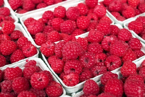 cétone de framboise perte poids