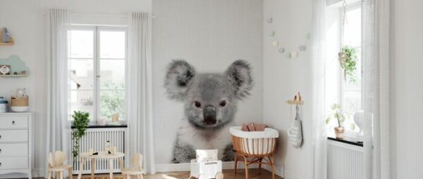 chambre bebe koala