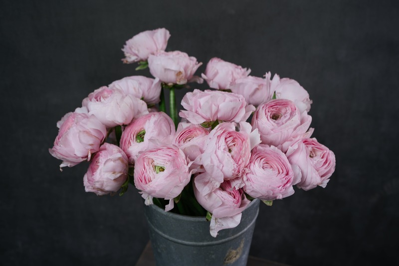 rose artificielle en pot